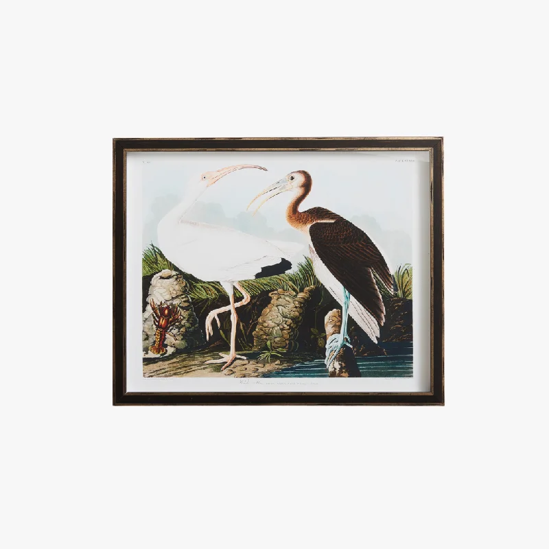 White Ibis Bookplate Print